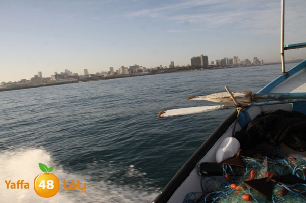 sayyadnewyaffa3 (15).JPG